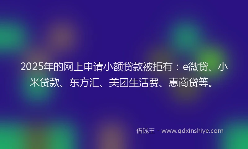 2025年的网上申请小额贷款被拒有：e微贷、小米贷款、东方汇、美团生活费、惠商贷等。