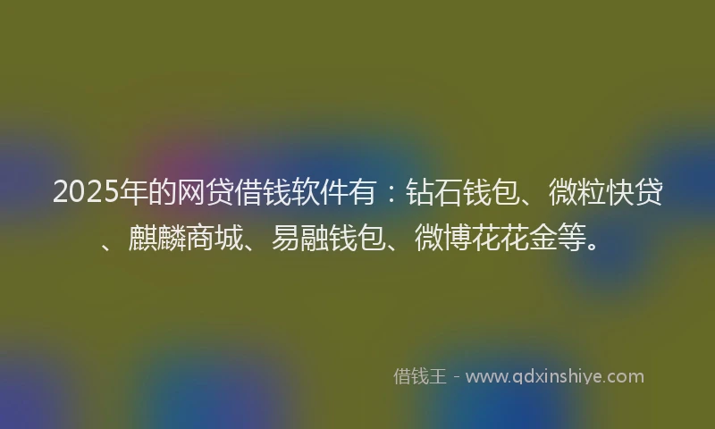 2025年的网贷借钱软件有：钻石钱包、微粒快贷、麒麟商城、易融钱包、微博花花金等。