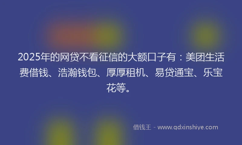 2025年的网贷不看征信的大额口子有：美团生活费借钱、浩瀚钱包、厚厚租机、易贷通宝、乐宝花等。