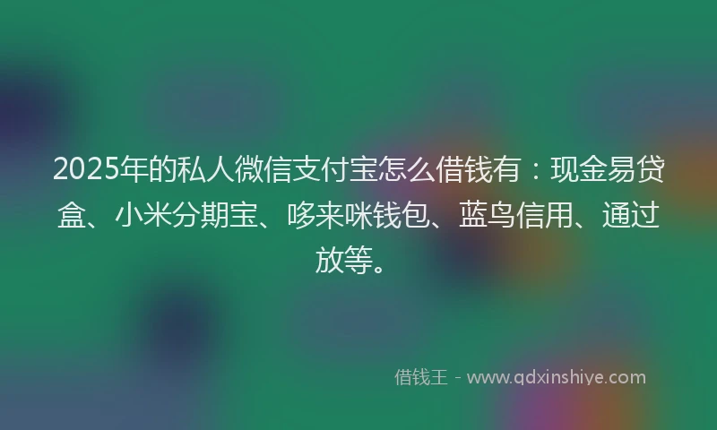 2025年的私人微信支付宝怎么借钱有：现金易贷盒、小米分期宝、哆来咪钱包、蓝鸟信用、通过放等。