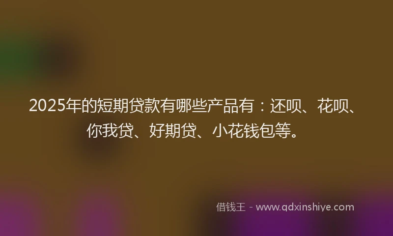 2025年的短期贷款有哪些产品有：还呗、花呗、你我贷、好期贷、小花钱包等。