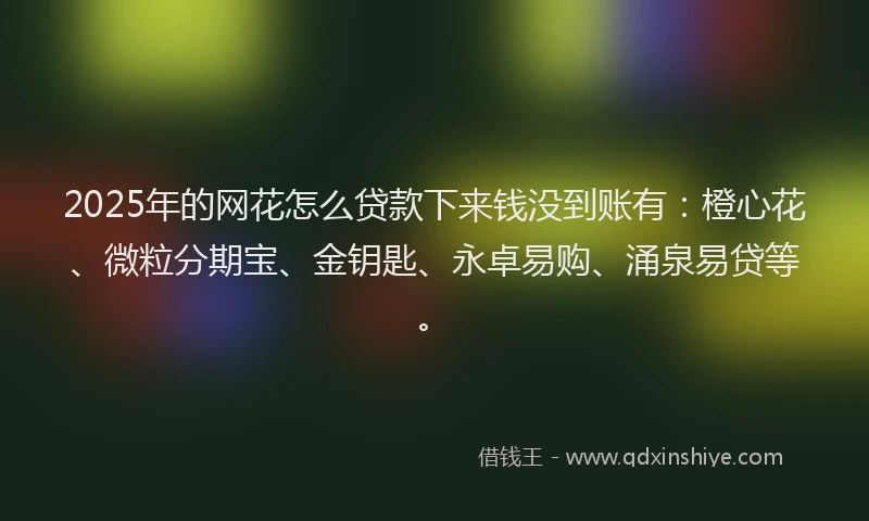 2025年的网花怎么贷款下来钱没到账有：橙心花、微粒分期宝、金钥匙、永卓易购、涌泉易贷等。