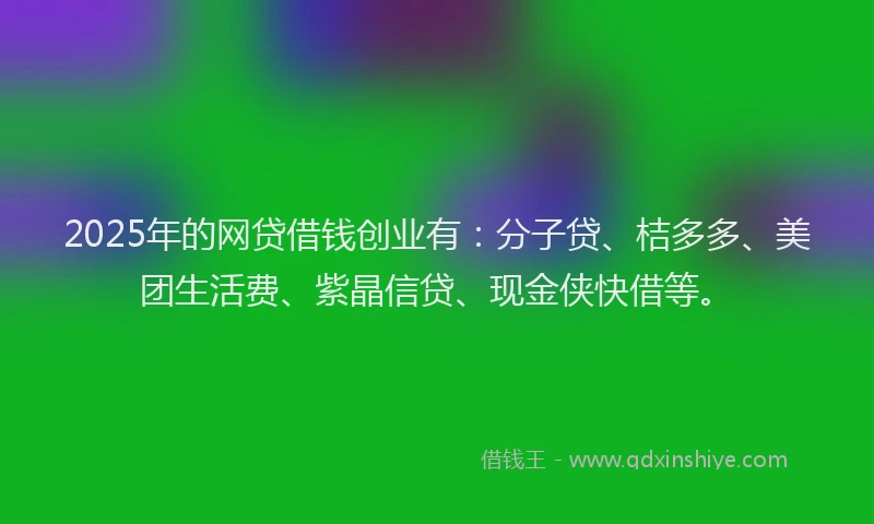 2025年的网贷借钱创业有：分子贷、桔多多、美团生活费、紫晶信贷、现金侠快借等。