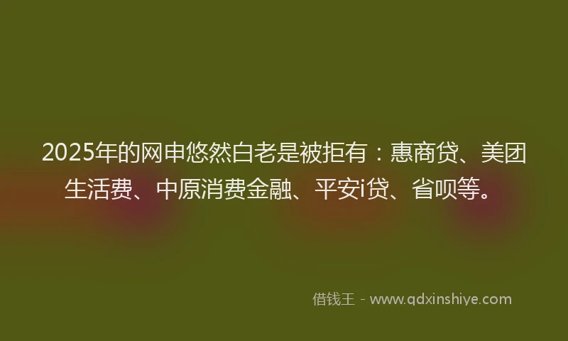 2025年的网申悠然白老是被拒有：惠商贷、美团生活费、中原消费金融、平安i贷、省呗等。