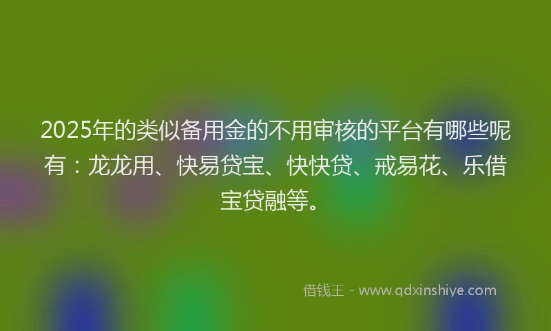 2025年的类似备用金的不用审核的平台有哪些呢有：龙龙用、快易贷宝、快快贷、戒易花、乐借宝贷融等。