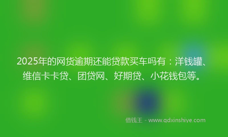 2025年的网货逾期还能贷款买车吗有：洋钱罐、维信卡卡贷、团贷网、好期贷、小花钱包等。