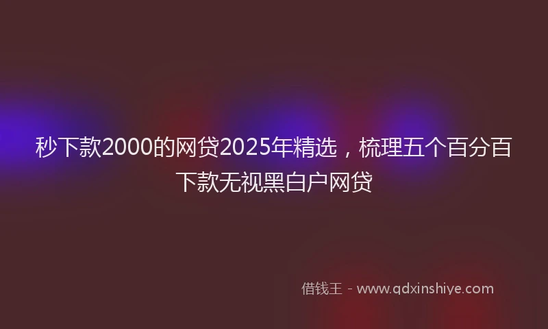 秒下款2000的网贷2025年精选，梳理五个百分百下款无视黑白户网贷