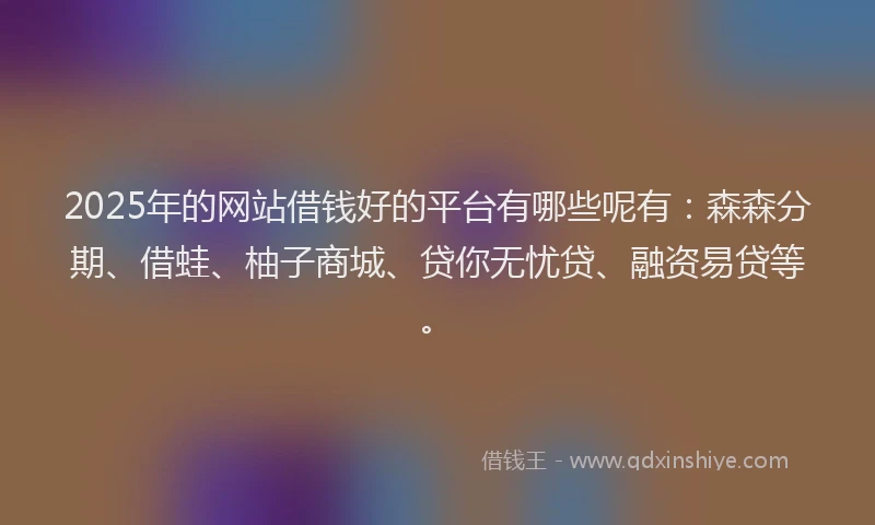 2025年的网站借钱好的平台有哪些呢有：森森分期、借蛙、柚子商城、贷你无忧贷、融资易贷等。