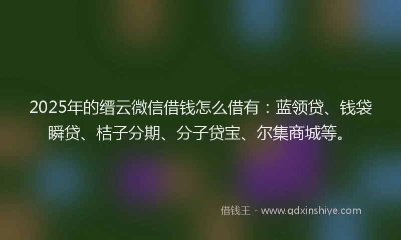 2025年的缙云微信借钱怎么借有：蓝领贷、钱袋瞬贷、桔子分期、分子贷宝、尔集商城等。