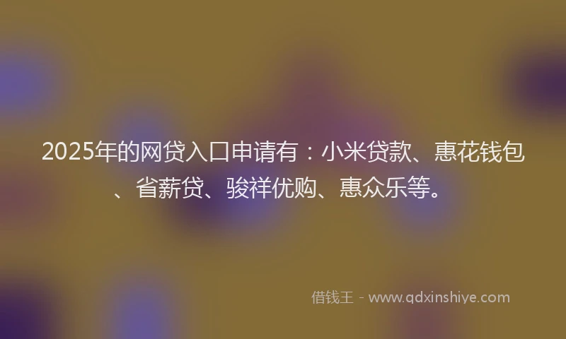2025年的网贷入口申请有：小米贷款、惠花钱包、省薪贷、骏祥优购、惠众乐等。
