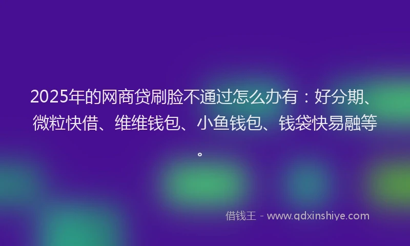 2025年的网商贷刷脸不通过怎么办有：好分期、微粒快借、维维钱包、小鱼钱包、钱袋快易融等。