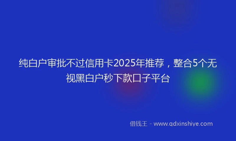 纯白户审批不过信用卡2025年推荐，整合5个无视黑白户秒下款口子平台