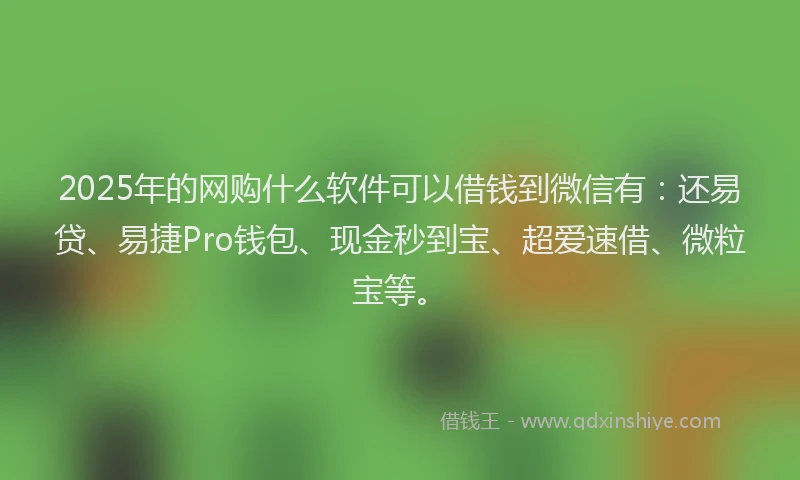 2025年的网购什么软件可以借钱到微信有：还易贷、易捷Pro钱包、现金秒到宝、超爱速借、微粒宝等。