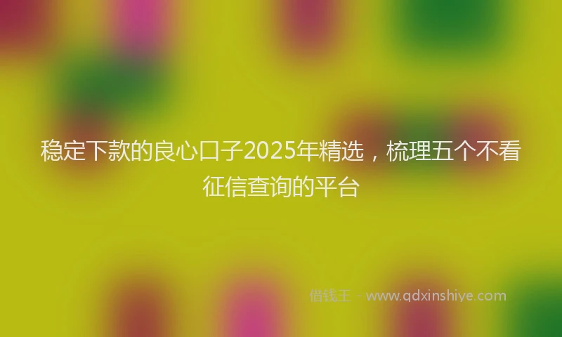 稳定下款的良心口子2025年精选，梳理五个不看征信查询的平台
