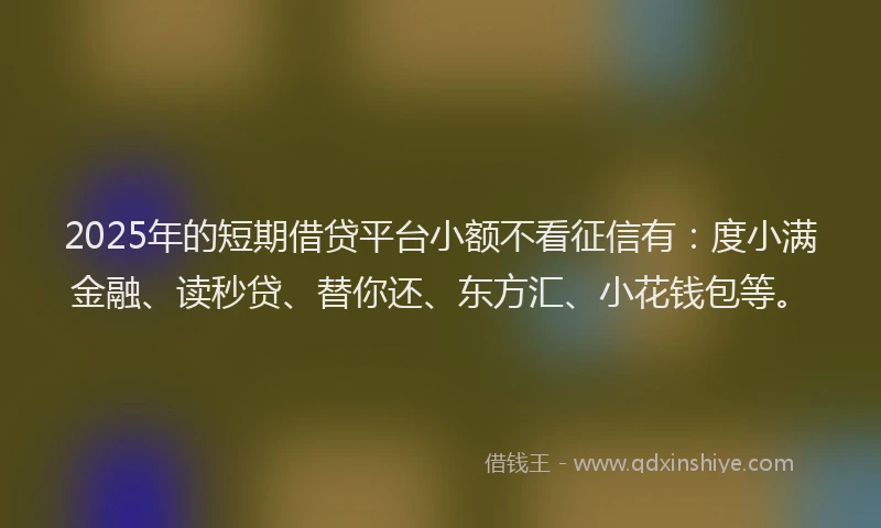 2025年的短期借贷平台小额不看征信有：度小满金融、读秒贷、替你还、东方汇、小花钱包等。