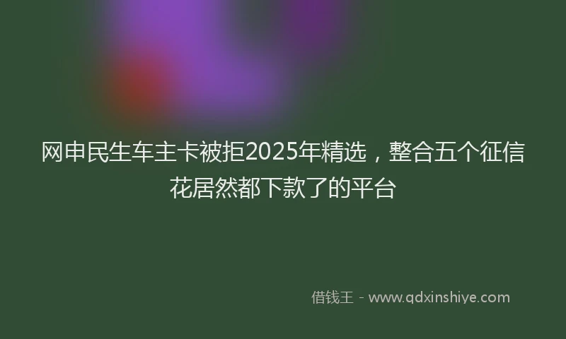 网申民生车主卡被拒2025年精选，整合五个征信花居然都下款了的平台