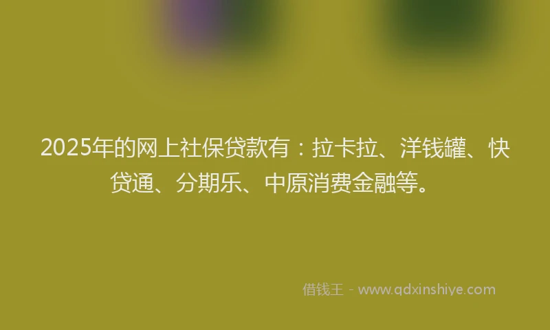 2025年的网上社保贷款有：拉卡拉、洋钱罐、快贷通、分期乐、中原消费金融等。