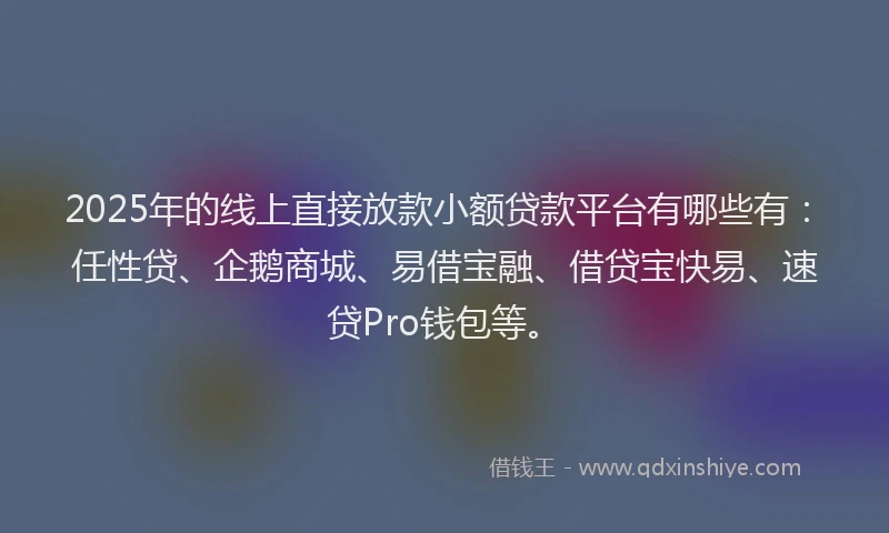 2025年的线上直接放款小额贷款平台有哪些有：任性贷、企鹅商城、易借宝融、借贷宝快易、速贷Pro钱包等。