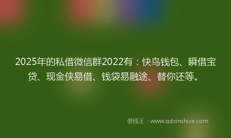 2025年的私借微信群2022有：快鸟钱包、瞬借宝贷、现金侠易借、钱袋易融途、替你还等。