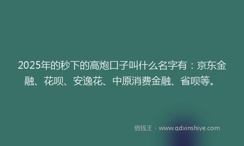 2025年的秒下的高炮口子叫什么名字有：京东金融、花呗、安逸花、中原消费金融、省呗等。