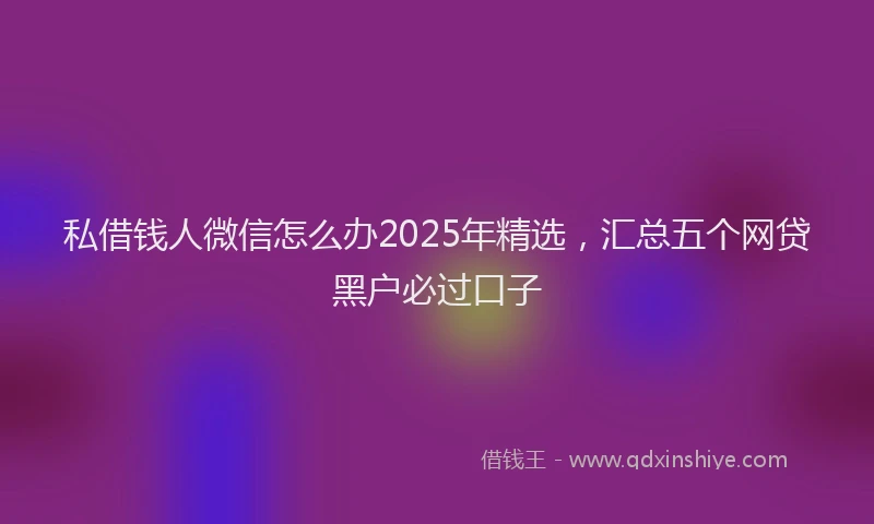 私借钱人微信怎么办2025年精选，汇总五个网贷黑户必过口子