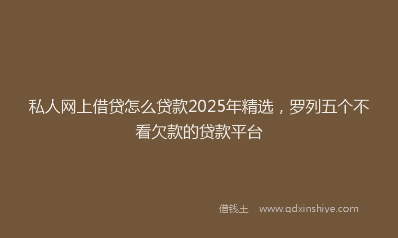 私人网上借贷怎么贷款2025年精选，罗列五个不看欠款的贷款平台