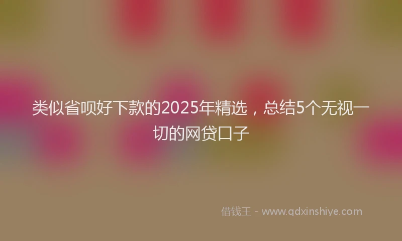 类似省呗好下款的2025年精选，总结5个无视一切的网贷口子