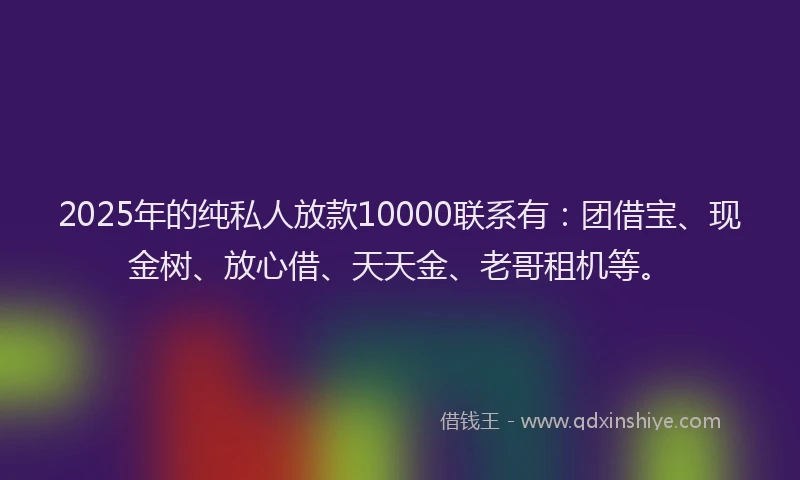2025年的纯私人放款10000联系有：团借宝、现金树、放心借、天天金、老哥租机等。