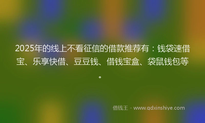 2025年的线上不看征信的借款推荐有：钱袋速借宝、乐享快借、豆豆钱、借钱宝盒、袋鼠钱包等。