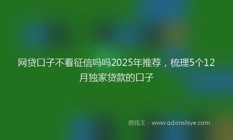 网贷口子不看征信吗吗2025年推荐，梳理5个12月独家贷款的口子