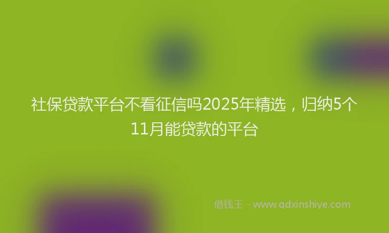 社保贷款平台不看征信吗2025年精选，归纳5个11月能贷款的平台