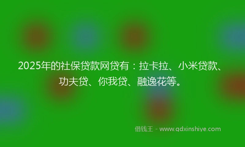 2025年的社保贷款网贷有：拉卡拉、小米贷款、功夫贷、你我贷、融逸花等。