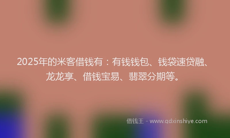 2025年的米客借钱有：有钱钱包、钱袋速贷融、龙龙享、借钱宝易、翡翠分期等。