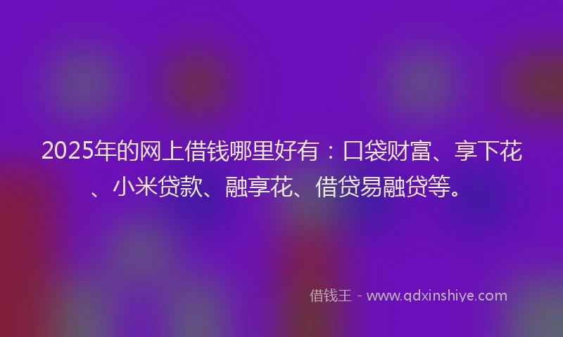 2025年的网上借钱哪里好有：口袋财富、享下花、小米贷款、融享花、借贷易融贷等。