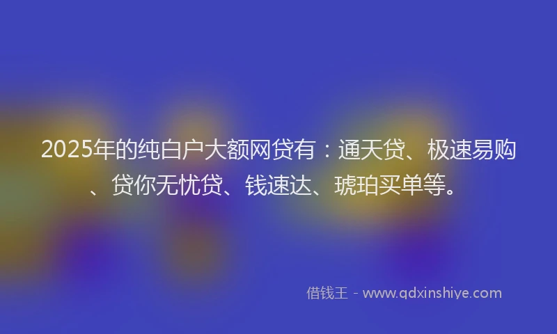 2025年的纯白户大额网贷有：通天贷、极速易购、贷你无忧贷、钱速达、琥珀买单等。
