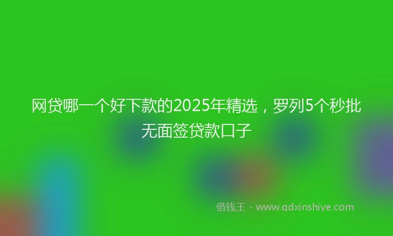 网贷哪一个好下款的2025年精选，罗列5个秒批无面签贷款口子