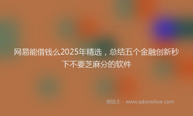 网易能借钱么2025年精选，总结五个金融创新秒下不要芝麻分的软件