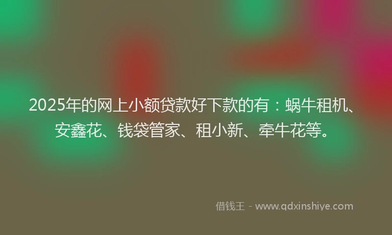 2025年的网上小额贷款好下款的有：蜗牛租机、安鑫花、钱袋管家、租小新、牵牛花等。