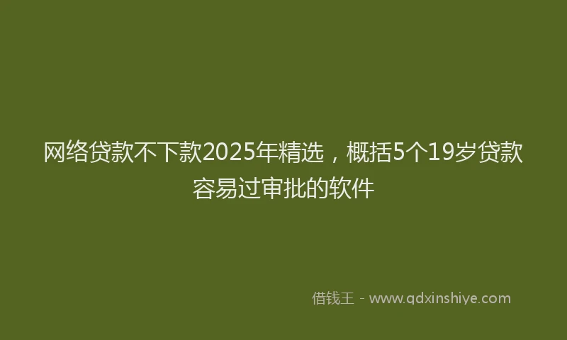 网络贷款不下款2025年精选，概括5个19岁贷款容易过审批的软件