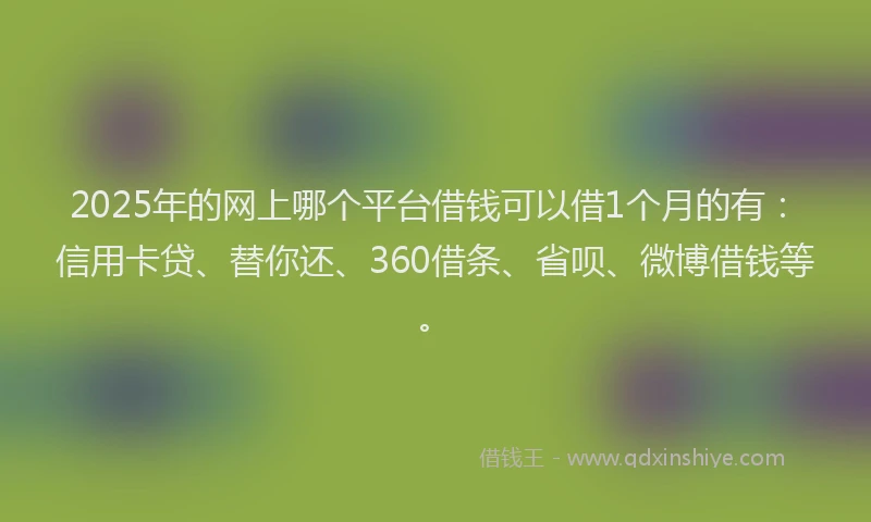 2025年的网上哪个平台借钱可以借1个月的有：信用卡贷、替你还、360借条、省呗、微博借钱等。