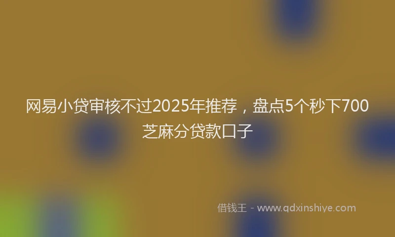 网易小贷审核不过2025年推荐，盘点5个秒下700芝麻分贷款口子