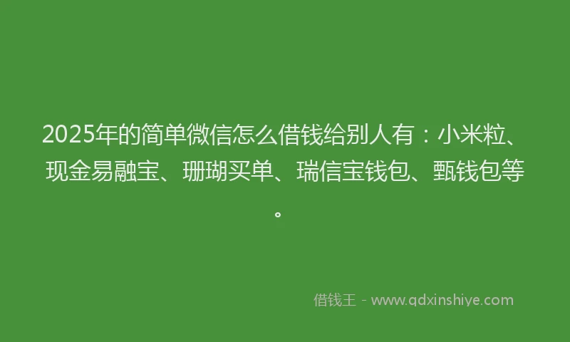2025年的简单微信怎么借钱给别人有：小米粒、现金易融宝、珊瑚买单、瑞信宝钱包、甄钱包等。