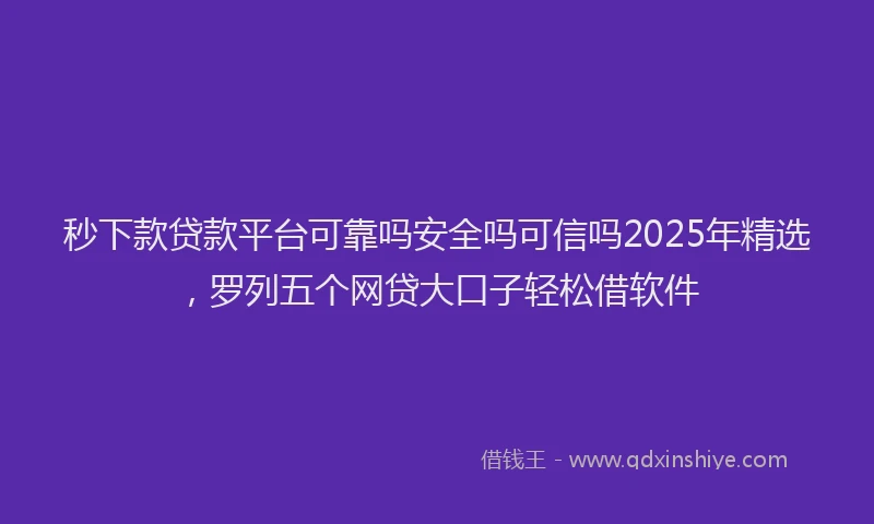 秒下款贷款平台可靠吗安全吗可信吗2025年精选，罗列五个网贷大口子轻松借软件