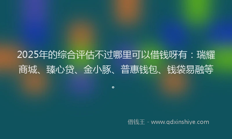 2025年的综合评估不过哪里可以借钱呀有：瑞耀商城、臻心贷、金小豚、普惠钱包、钱袋易融等。