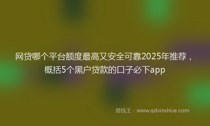 网贷哪个平台额度最高又安全可靠2025年推荐，概括5个黑户贷款的口子必下app