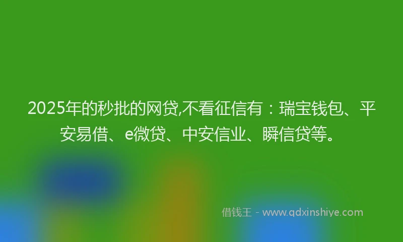 2025年的秒批的网贷,不看征信有：瑞宝钱包、平安易借、e微贷、中安信业、瞬信贷等。