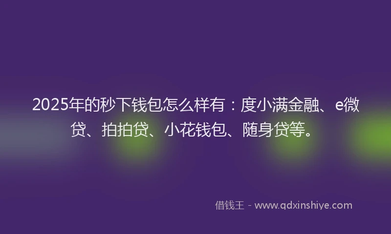 2025年的秒下钱包怎么样有：度小满金融、e微贷、拍拍贷、小花钱包、随身贷等。