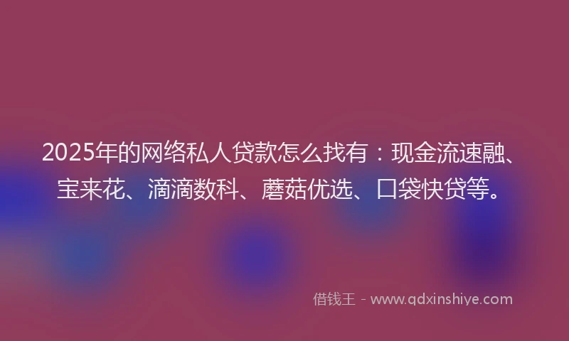 2025年的网络私人贷款怎么找有:现金流速融、宝来花、滴滴数科、蘑菇优选、口袋快贷等。