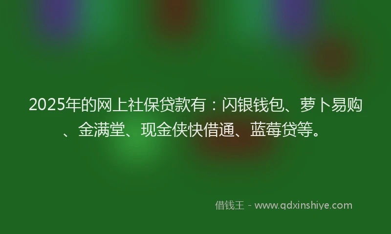 2025年的网上社保贷款有：闪银钱包、萝卜易购、金满堂、现金侠快借通、蓝莓贷等。
