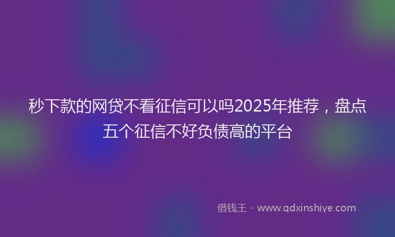 秒下款的网贷不看征信可以吗2025年推荐，盘点五个征信不好负债高的平台